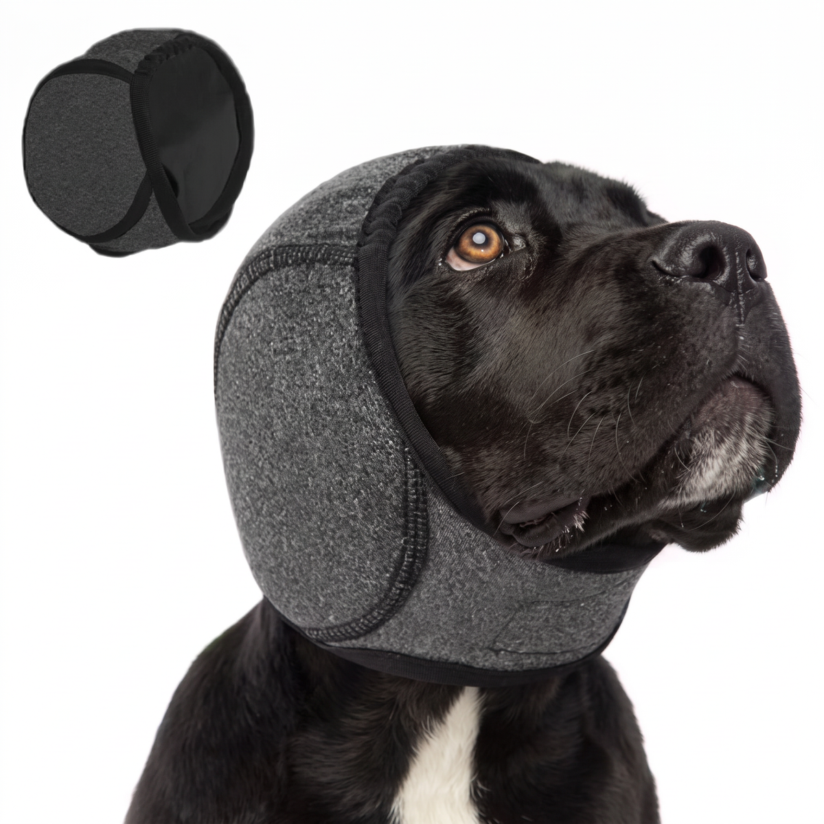 Protector antirruido para perros ansiosos